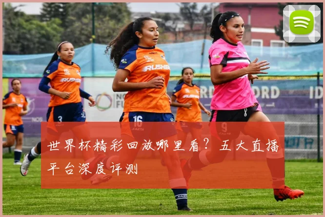 世界杯精彩回放哪里看？五大直播平台深度评测