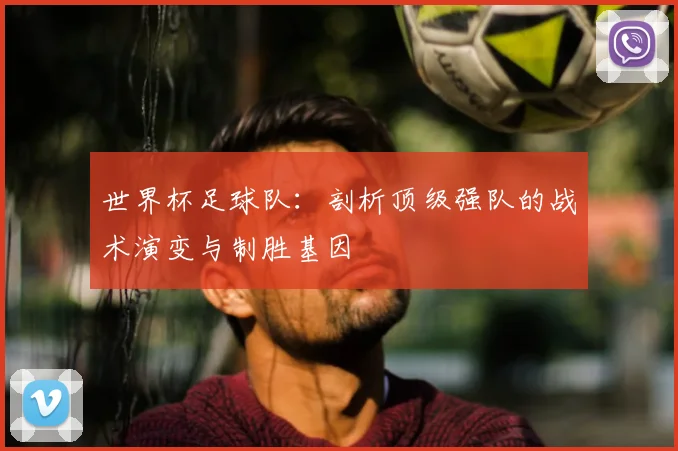 世界杯足球队：剖析顶级强队的战术演变与制胜基因