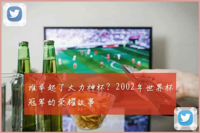 谁举起了大力神杯？2002年世界杯冠军的荣耀故事