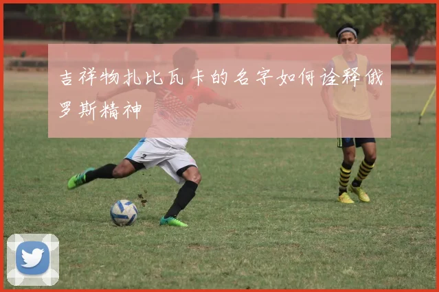 吉祥物扎比瓦卡的名字如何诠释俄罗斯精神
