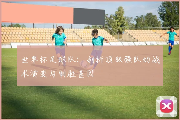 世界杯足球队：剖析顶级强队的战术演变与制胜基因