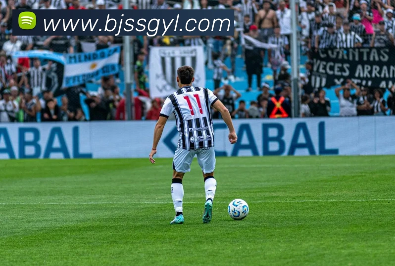 安博登录入口网页版APP 封面图